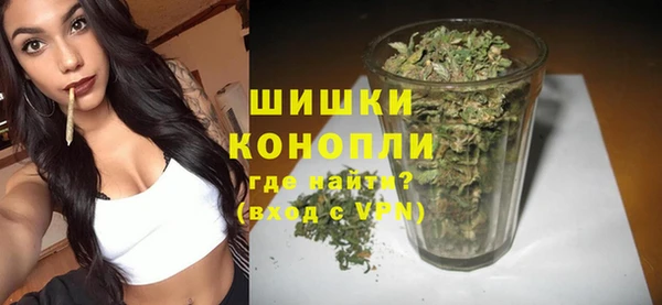 сатива Абинск