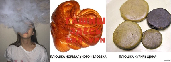 сатива Абинск