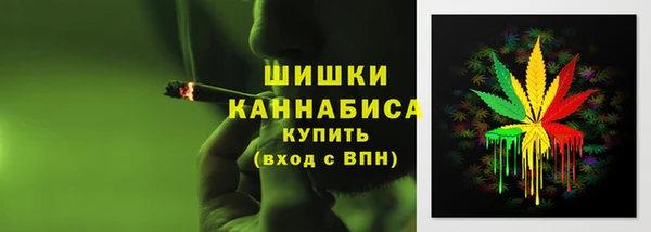 сатива Абинск