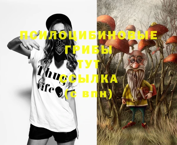 сатива Абинск