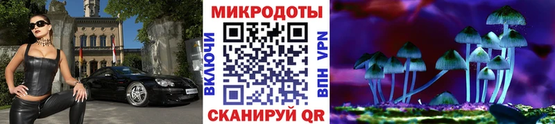 Псилоцибиновые грибы прущие грибы  Новоалександровск 