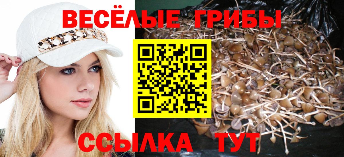 Галлюциногенные грибы мухоморы  Вход с VPN  Новоалександровск 