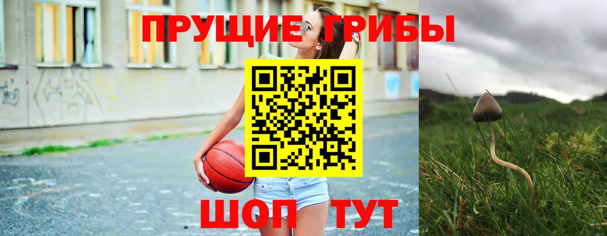 Псилоцибиновые грибы ЛСД Новоалександровск